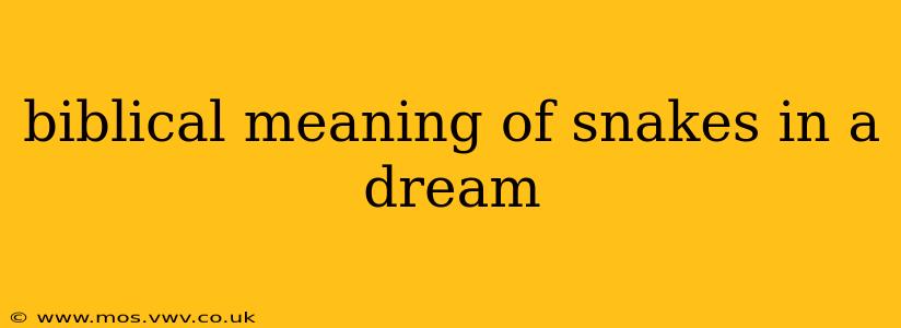 biblical meaning of snakes in a dream
