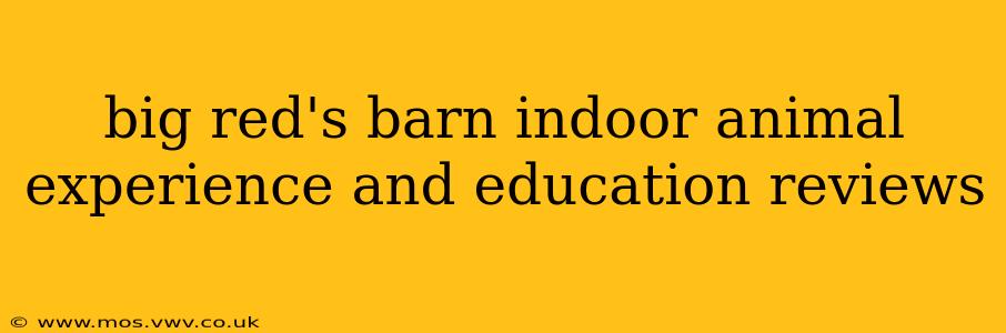 big red's barn indoor animal experience and education reviews