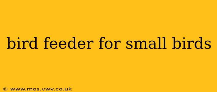 bird feeder for small birds