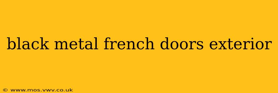 black metal french doors exterior
