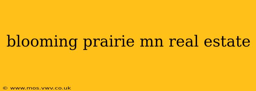 blooming prairie mn real estate