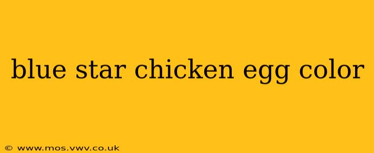 blue star chicken egg color