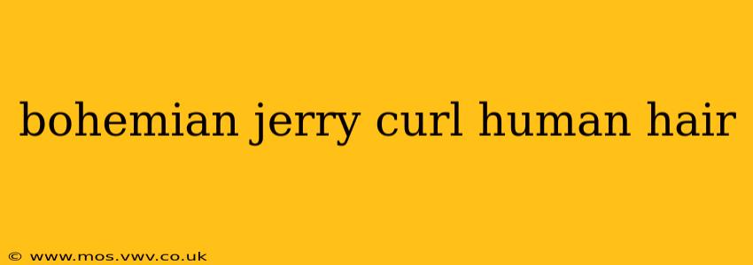 bohemian jerry curl human hair