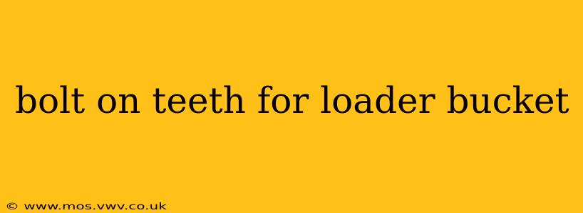 bolt on teeth for loader bucket