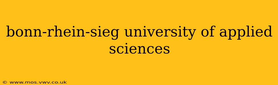 bonn-rhein-sieg university of applied sciences