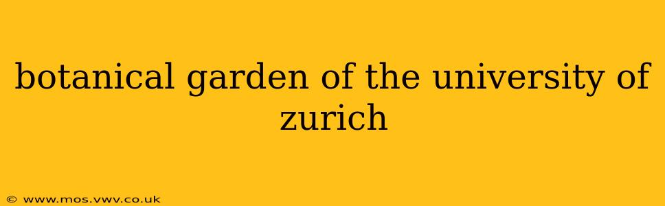 botanical garden of the university of zurich