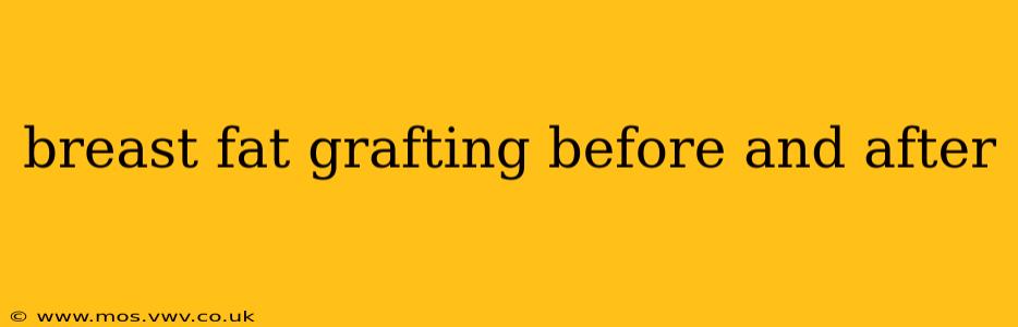breast fat grafting before and after