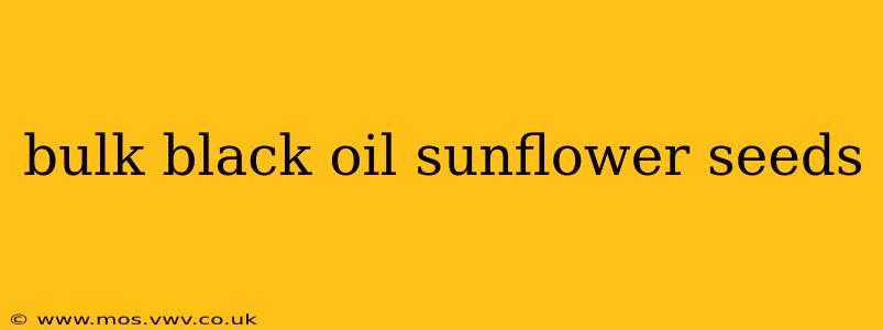 bulk black oil sunflower seeds
