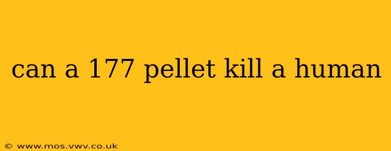 can a 177 pellet kill a human