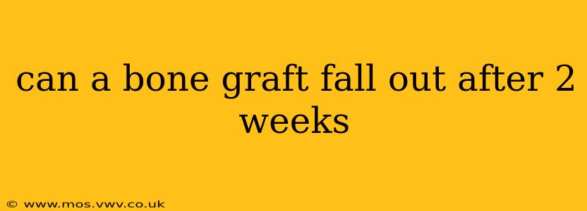 can a bone graft fall out after 2 weeks