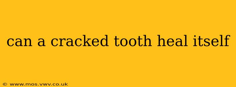 can a cracked tooth heal itself