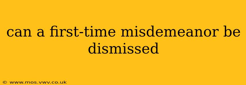 can a first-time misdemeanor be dismissed