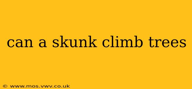 can a skunk climb trees