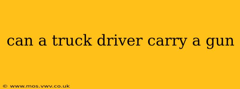 can a truck driver carry a gun