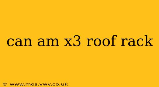 can am x3 roof rack