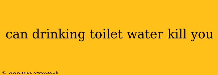can drinking toilet water kill you
