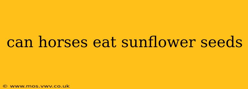 can horses eat sunflower seeds