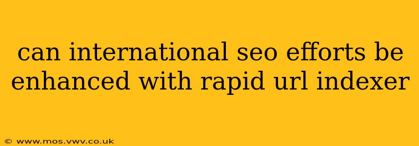 can international seo efforts be enhanced with rapid url indexer