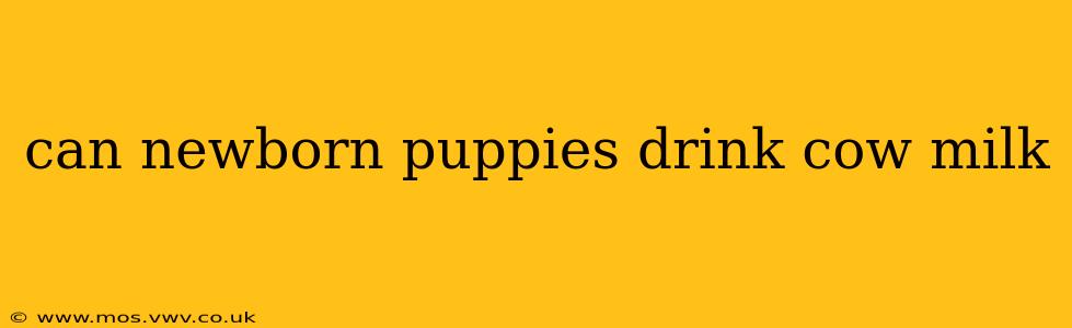 can newborn puppies drink cow milk
