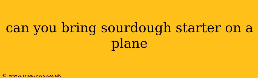 can you bring sourdough starter on a plane