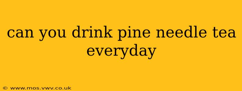 can you drink pine needle tea everyday