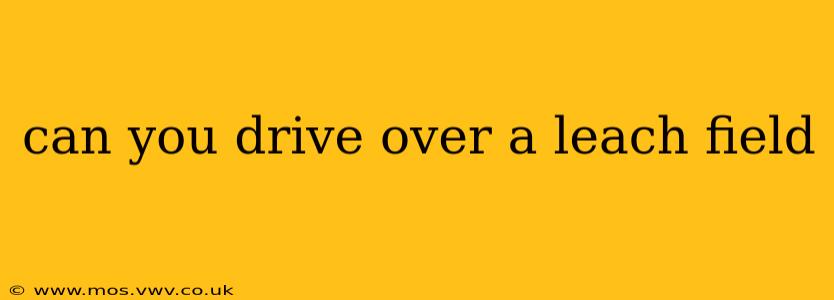 can you drive over a leach field