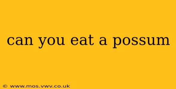 can you eat a possum