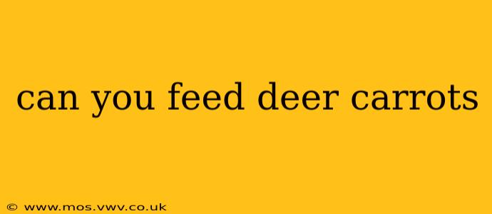 can you feed deer carrots