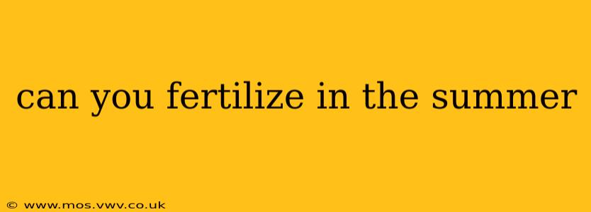 can you fertilize in the summer
