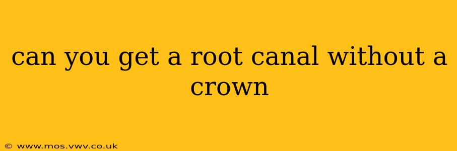 can you get a root canal without a crown