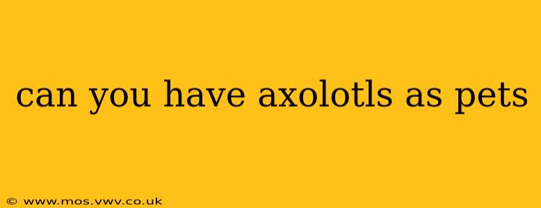 can you have axolotls as pets