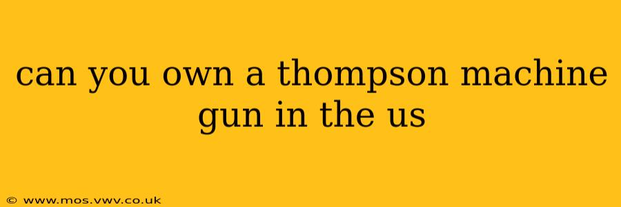 can you own a thompson machine gun in the us