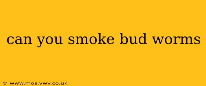 can you smoke bud worms
