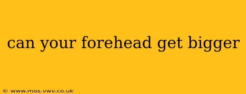 can your forehead get bigger