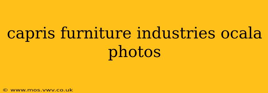 capris furniture industries ocala photos