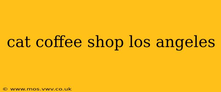 cat coffee shop los angeles