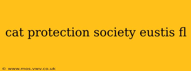 cat protection society eustis fl