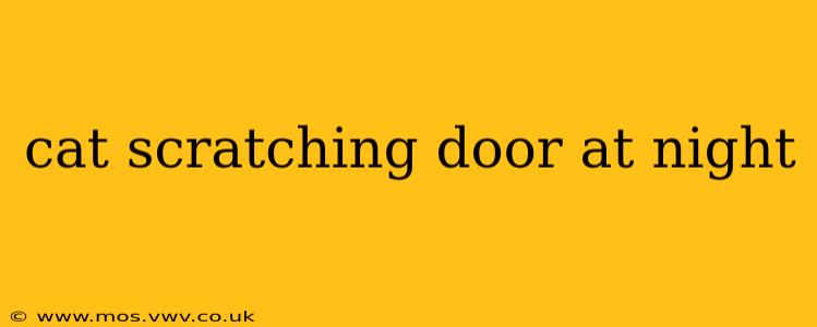 cat scratching door at night