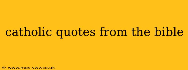 catholic quotes from the bible