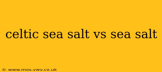 celtic sea salt vs sea salt