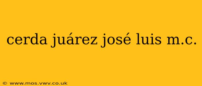 cerda juárez josé luis m.c.