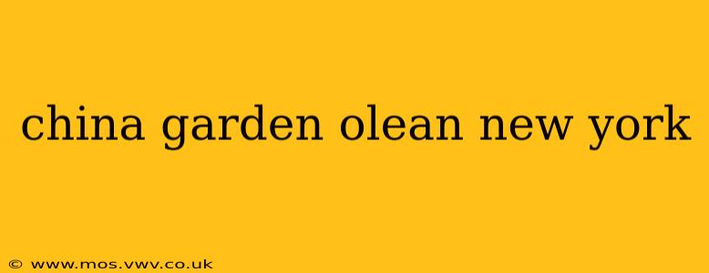 china garden olean new york