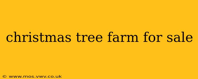 christmas tree farm for sale