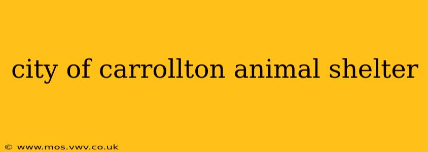 city of carrollton animal shelter