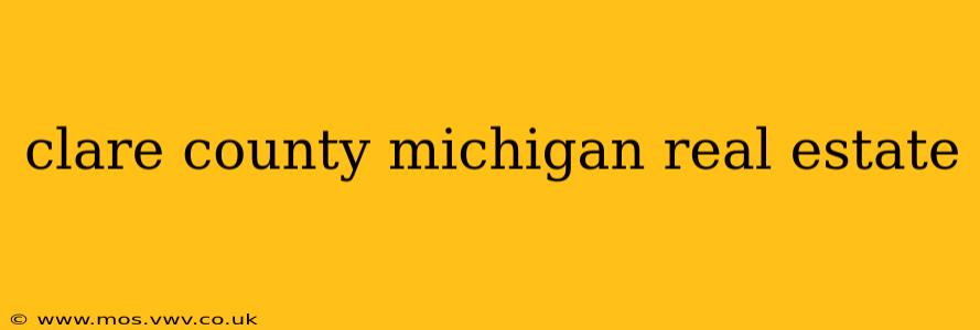 clare county michigan real estate