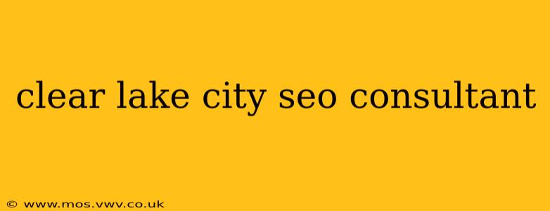 clear lake city seo consultant