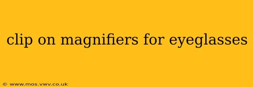 clip on magnifiers for eyeglasses