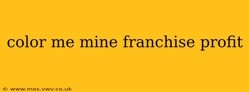 color me mine franchise profit