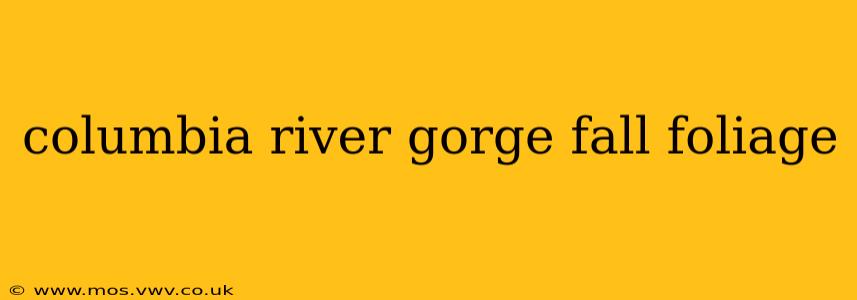 columbia river gorge fall foliage