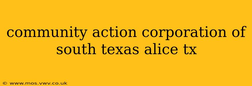 community action corporation of south texas alice tx
